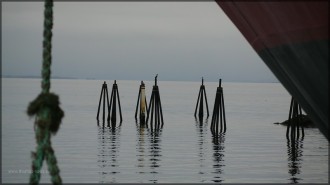 Grafische Aufnahme im Hafen Trondheim