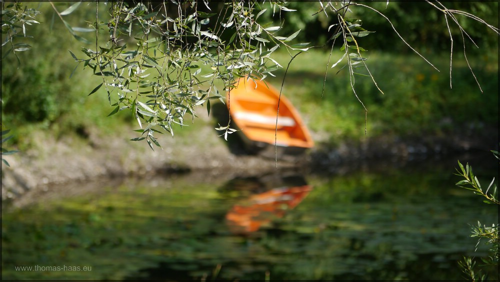 Ruderboot am Teich, Spiel mit der Unschärfe, August 2015