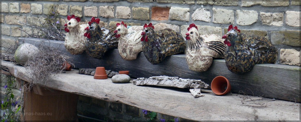 Hühner einer Töpferei, Juni 2016