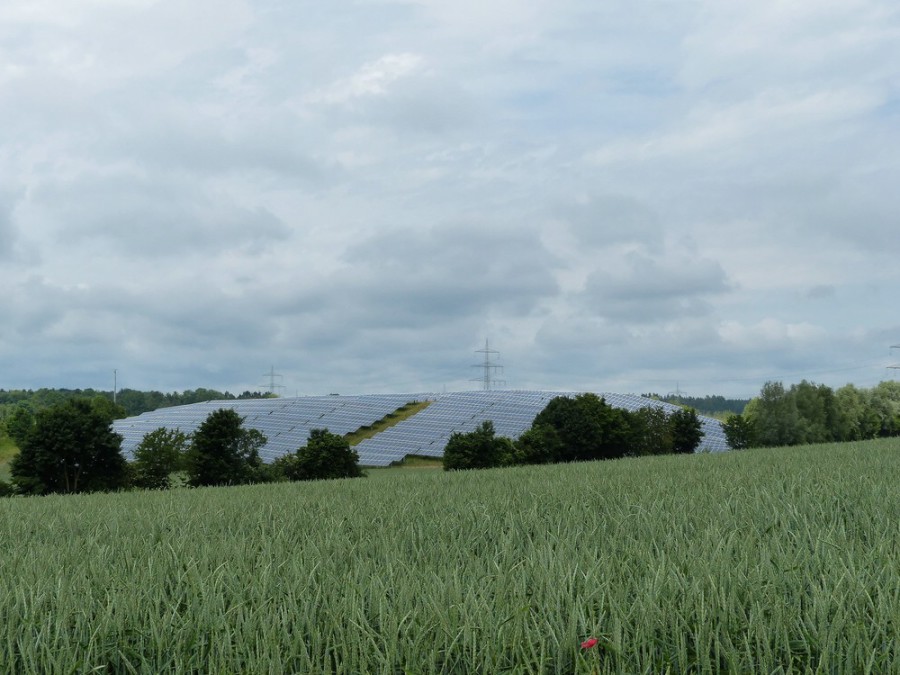 Solarpark und Landwirschaft in Bellenberg, 2019