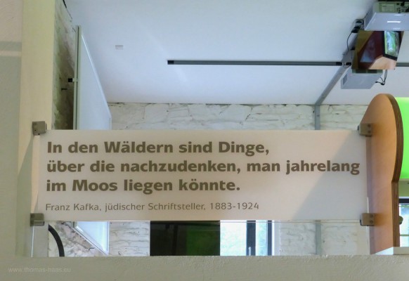 Kafka-Zitat über Wälder, Ausstellung in Höfen, 2019