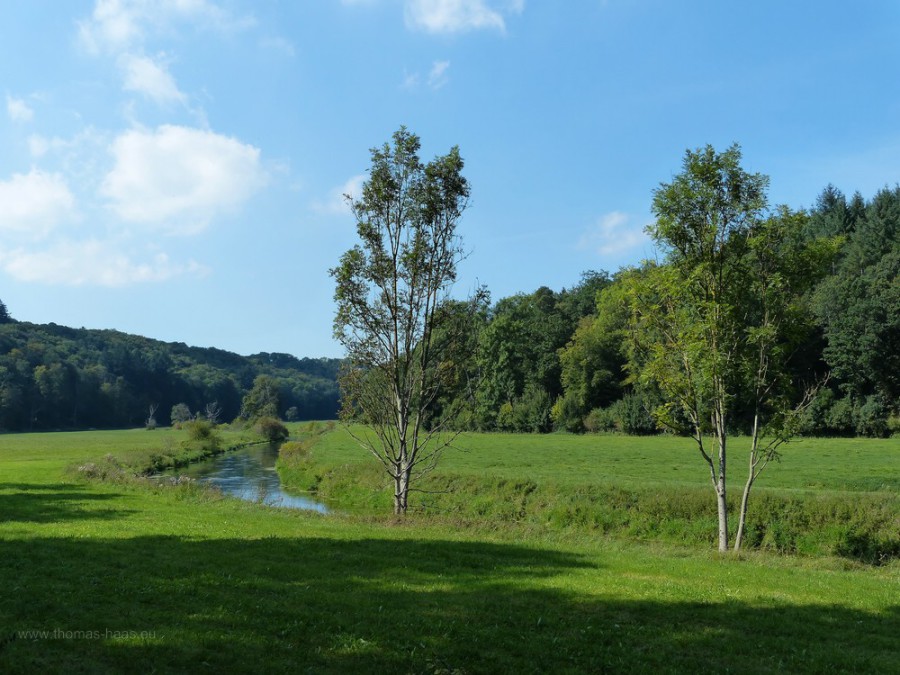 Landschaftsbild, Eselsburger Tal, 2019