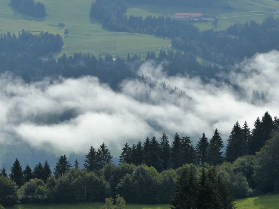 Nebel im Tal, Allgäu, 2019