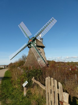 Windmühle Charlotte in der Geltinger Birk. 2019