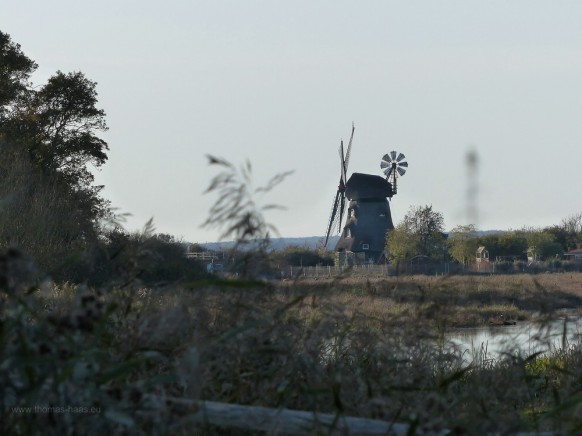 windmühle Charlotte in der Geltinger Birk, Oktober 2019