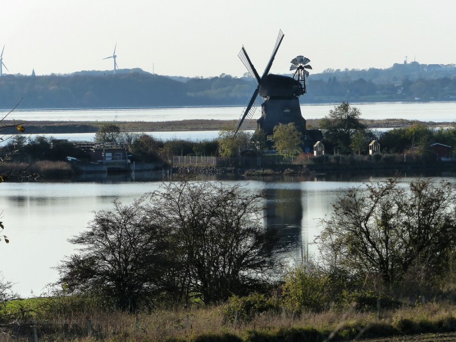 Windmühle Charlotte in der Geltinger Birk, 2019