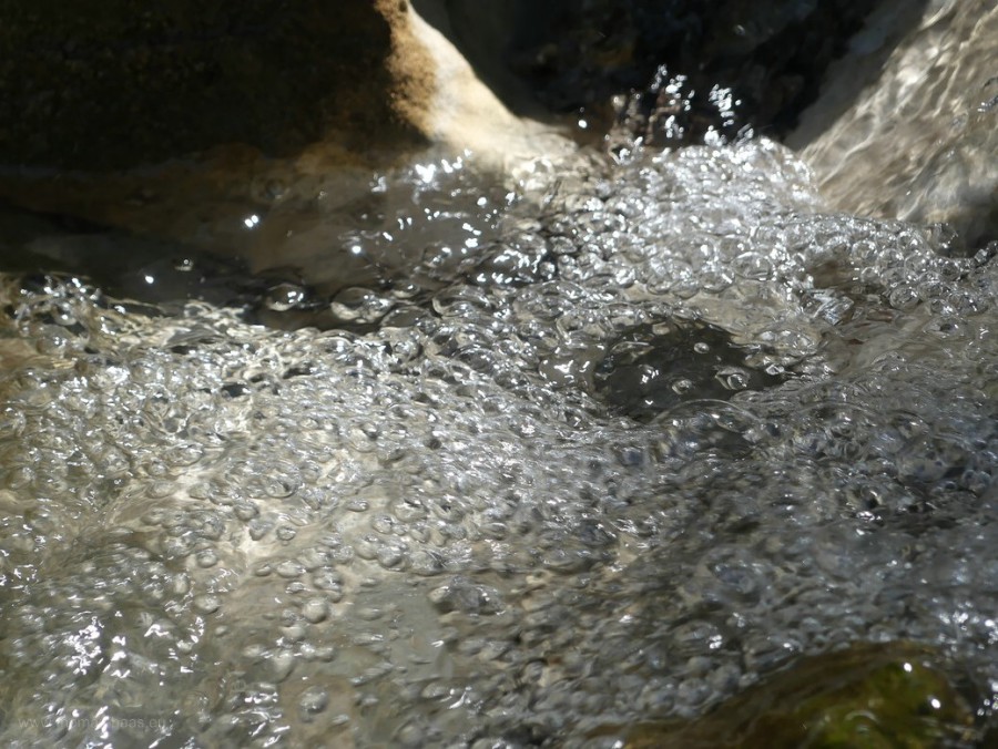 Wasserläufe am Nordufer, Alpsee, 2020
