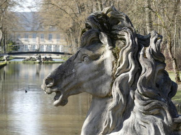 Bild des Monats, Mai 2023 - Hofgarten Bayreuth, Wasserpferd auf der Kanalinsel...