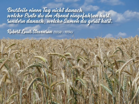 Das Motivationsmotiv für den September 2023: Getreidefeld mit Zitat von Robert Louis Stevensons...