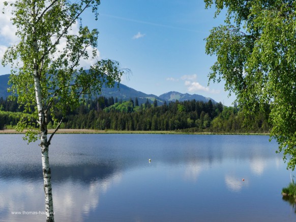 Das Bild zeigt den Attlesee bei Nesselwang als Bild des Monats, Juli 2025