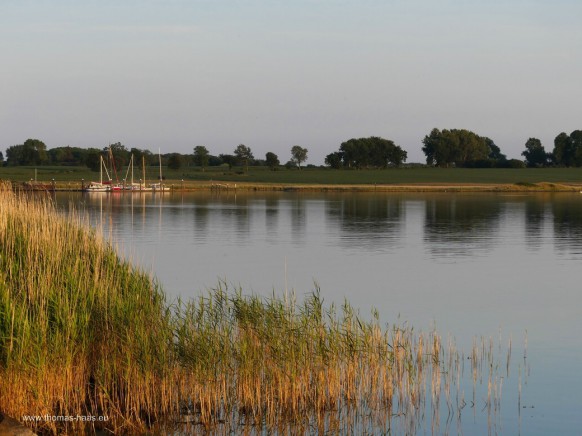Das Bild des Monats, August 2025 - die Schlei bei Kappeln...