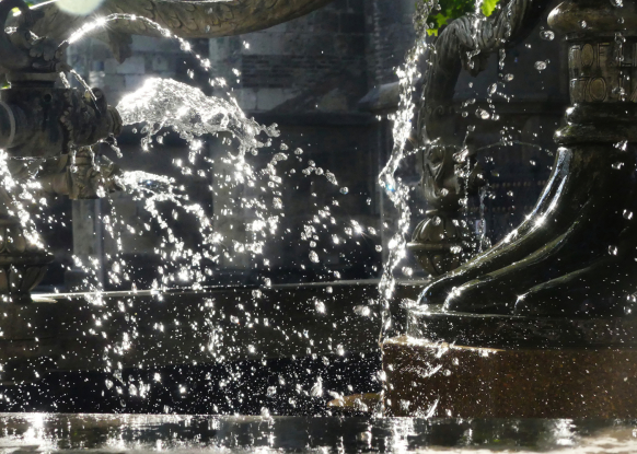 Delphinbrunnen Ulm, Südlicher Münsterplatz, im Gegenlicht - 2025