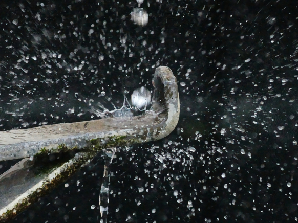 Das Krönchen - Wassertropfen am Georgsbrunnen in Ulm, 2025