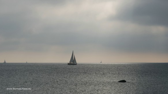 Bild des Monats, Oktober 2025 - Das monochrome Farbenspiel der Ostsee...