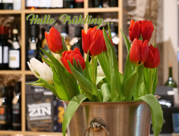 Motivationsmotiv März 2026: Tulpen im Champagnerkühler, „Hallo, Frühling...“
