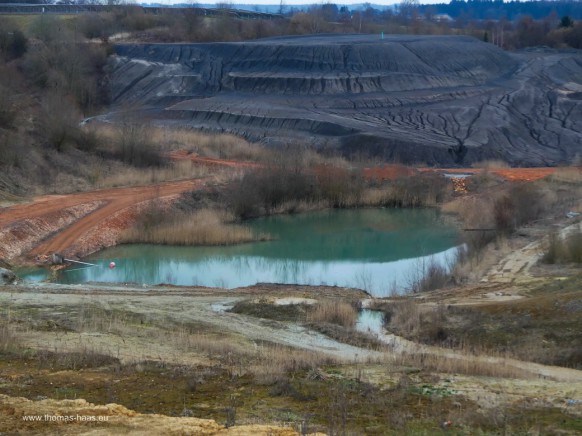 Bild des Monats, April 2026 - Mondlandschaft - die Halde des Ziegelwerks Bellenberg im März 2026